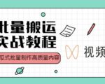 视频号批量搬运实战操作运营赚钱教程,傻瓜式批量制作高质量内容【附视频教程+PPT】-赚金金-技能学习分享
