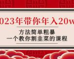 韭菜-联盟·2023年带你年入20w+方法简单粗暴,一个教你割韭菜的课程-赚金金-技能学习分享