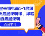 大圣淘宝天猫电商1-7层级盈利增长底层逻辑课，爆款的底层逻辑-赚金金-技能学习分享