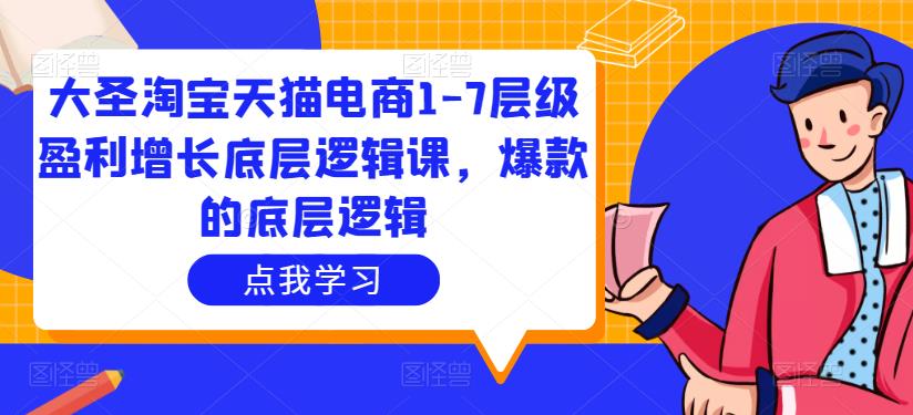 大圣淘宝天猫电商1-7层级盈利增长底层逻辑课,爆款的底层逻辑-赚金金-技能学习分享