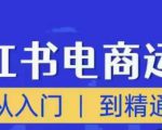 顽石小红书电商高阶运营课程,从入门到精通,玩法流程持续更新-赚金金-技能学习分享