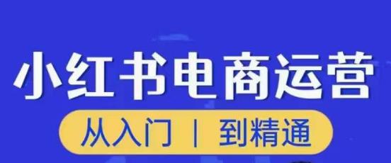 顽石小红书电商高阶运营课程,从入门到精通,玩法流程持续更新-赚金金-技能学习分享