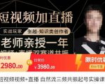 张越·短视频+直播,自然流三频共振起号实操课,短视频所有流量玩法讲解-赚金金-技能学习分享