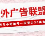 外面收费1980的最新国外LEAD广告联盟搬砖项目,单号一天至少30美金【详细玩法教程】-赚金金-技能学习分享