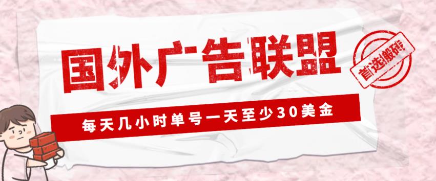 外面收费1980的最新国外LEAD广告联盟搬砖项目，单号一天至少30美金【详细玩法教程】-赚金金-技能学习分享