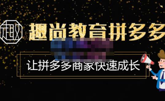 趣尚教育·拼多多运营实操VIP特训营，让拼多多商家快速成长-价值3180元-赚金金-技能学习分享