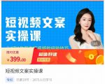 小秋·短视频文案实操课,从0到1教你做短视频的经验技巧-赚金金-技能学习分享