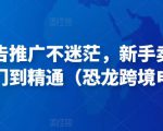 亚马逊广告推广不迷茫，新手卖家产品运营入门到精通（恐龙跨境电商）-赚金金-技能学习分享