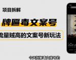 2023抖音快手毒文案新玩法,牌匾文案号,起号快易变现-赚金金-技能学习分享