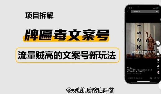 2023抖音快手毒文案新玩法，牌匾文案号，起号快易变现-赚金金-技能学习分享