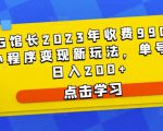 D1G馆长2023年收费990的抖音小程序变现新玩法，单号轻松日入200+-赚金金-技能学习分享