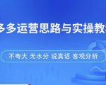 拼多多店铺运营思路与实操教程,快速学会拼多多开店和运营,少踩坑,多盈利-赚金金-技能学习分享