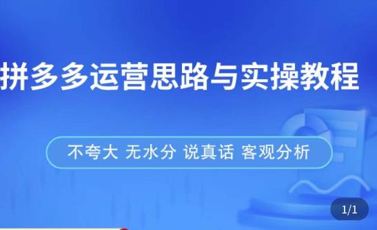 拼多多店铺运营思路与实操教程，快速学会拼多多开店和运营，少踩坑，多盈利-赚金金-技能学习分享