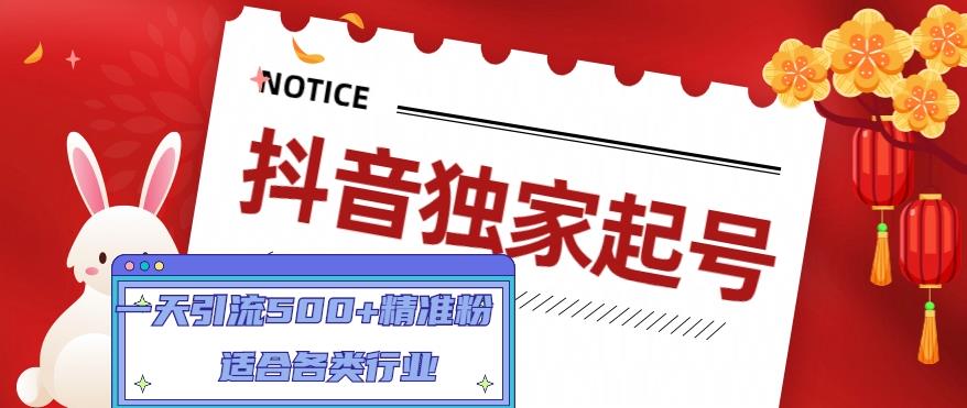 抖音独家起号，一天引流500+精准粉，适合各类行业（9节视频课）-赚金金-技能学习分享