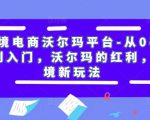 跨境电商沃尔玛平台-从0基础到入门,沃尔玛的红利,跨境新玩法-赚金金-技能学习分享