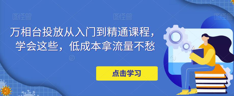 万相台投放从入门到精通课程，学会这些，低成本拿流量不愁-赚金金-技能学习分享
