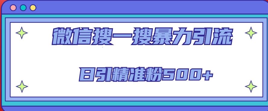 微信搜一搜引流全系列课程，日引精准粉500+（8节课）-赚金金-技能学习分享