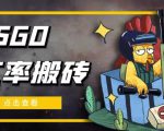 外面9800的CSGO汇率搬砖项目，一个月轻松赚几千【选品软件+详细教程】-赚金金-技能学习分享