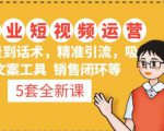 5套·美业短视频运营课从场景到话术·精准引流·吸金文案工具·销售闭环等-赚金金-技能学习分享