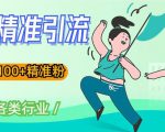 soul精准引流系列课程,一天引流100+精准粉,适合各类行业-赚金金-技能学习分享