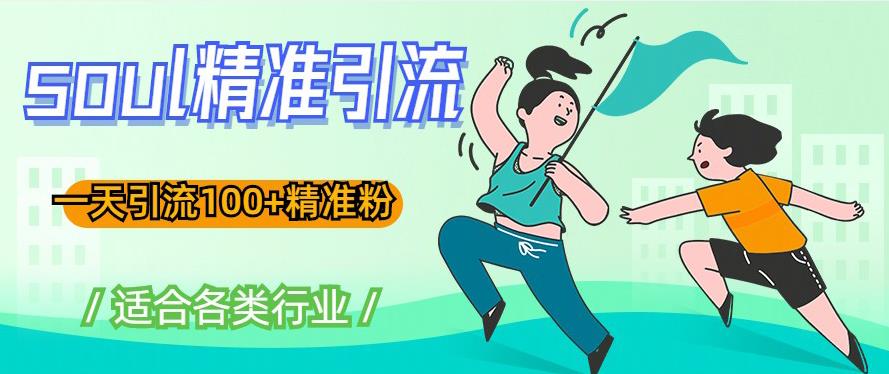 soul精准引流系列课程，一天引流100+精准粉，适合各类行业-赚金金-技能学习分享