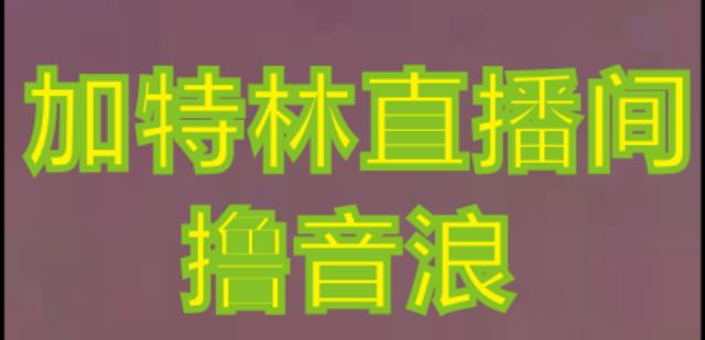 抖音加特林直播间搭建技术，抖音0粉开播，暴力撸音浪，2023新口子，每天800+【素材+详细教程】-赚金金-技能学习分享