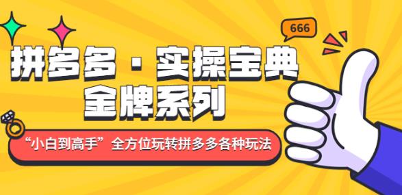 拼多多·实操宝典：金牌系列“小白到高手”带你全方位玩转拼多多各种玩法-赚金金-技能学习分享
