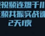 短视频连爆千川三频共振实战课,针对千川如何投放,视频如何打爆专门讲解-赚金金-技能学习分享