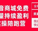 抖音商城搜索持续盈利陪跑成长营,抖音商城搜索从0-1、从1到10的全面解决方案-赚金金-技能学习分享
