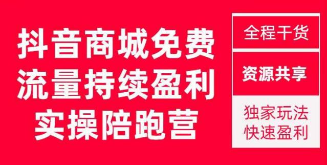 抖音商城搜索持续盈利陪跑成长营，抖音商城搜索从0-1、从1到10的全面解决方案-赚金金-技能学习分享