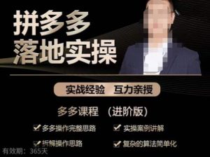 拼多多实战篇·落地实操:多多操作完整思路+实操案例讲解+拆解操作思路+复杂的算法简单化-赚金金-技能学习分享