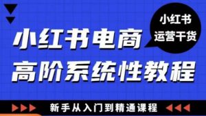 小红书电商高阶系统教程，新手从入门到精通系统课-赚金金-技能学习分享