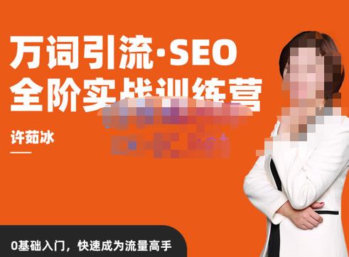 许茹冰·万词引流-SEO全阶实战训练营，0基础入门，快速成为流量高手-赚金金-技能学习分享