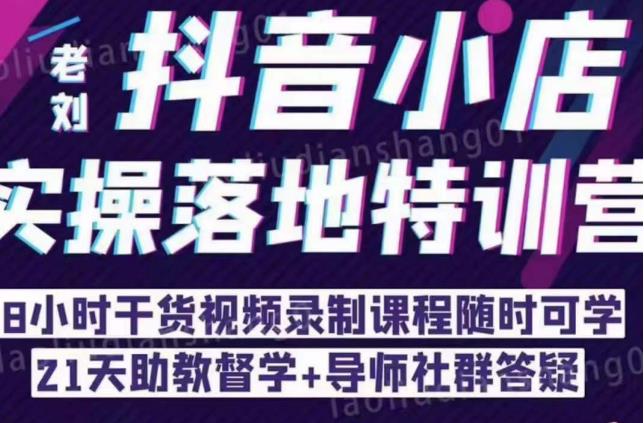 抖音小店实操落地特训营：抖音小店无货源精细化运营，抖店商品卡流量（22节）-赚金金-技能学习分享