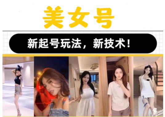 2023抖音快手短视频美女号课程制作玩法教程，美女号搬运新起号玩法，新技术（素材+教程）-赚金金-技能学习分享