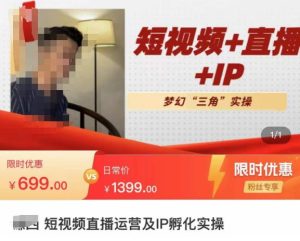 谦四·短视频直播运营及IP孵化实操,80节干货实操分享-赚金金-技能学习分享