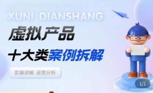 虚拟产品项目拆解课,十大类案例拆解分析运营玩法-赚金金-技能学习分享