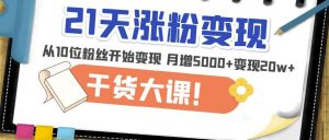 21天精准涨粉变现干货大课:从10位粉丝开始变现月增5000+变现20w+-赚金金-技能学习分享