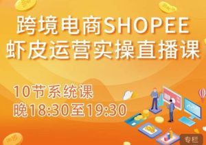 跨境电商Shopee虾皮运营实操直播课，从零开始学，入门到精通（10节系统课）-赚金金-技能学习分享