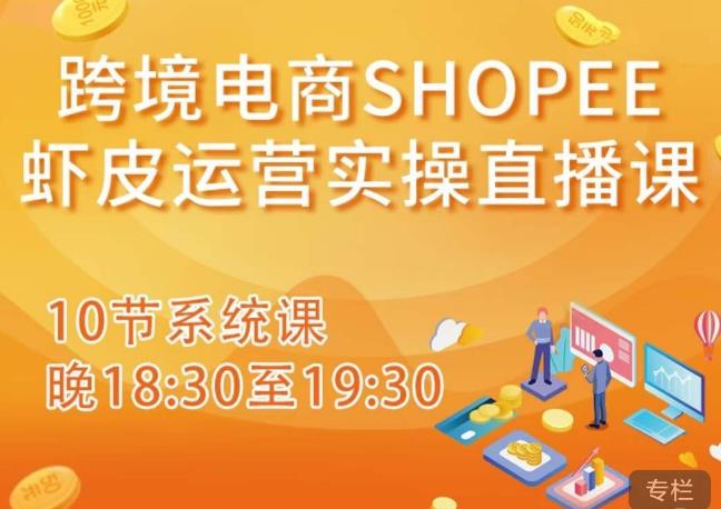 跨境电商Shopee虾皮运营实操直播课，从零开始学，入门到精通（10节系统课）-赚金金-技能学习分享
