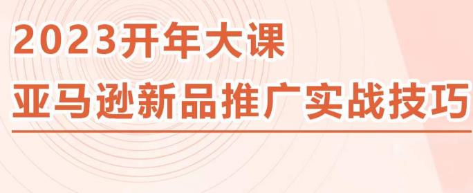 2023亚马逊新品推广实战技巧，线下百万美金课程的精简版，简单粗暴可复制，实操性强的推广手段-赚金金-技能学习分享
