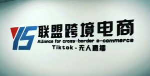 YS联盟·Tiktok无人直播,不出镜不剪辑不拍摄不发货无售后的跨境短视频躺赚玩法-赚金金-技能学习分享