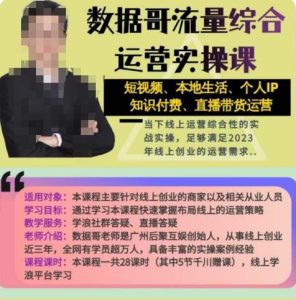数据哥流量综合运营实操课:短视频、本地生活、个人IP知识付费、直播带货运营-赚金金-技能学习分享