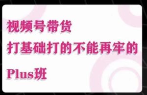大播汇·视频号带货Puls班,视频号底层逻辑,起号自然流鱼塘等玩法-赚金金-技能学习分享