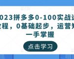 2023拼多多0-100实战运营教程,0基础起步,运营知识一手掌握-赚金金-技能学习分享