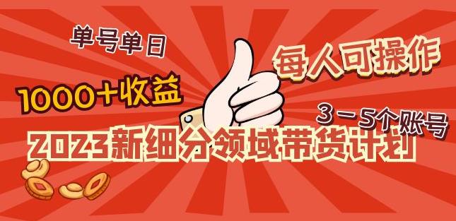 2023新细分领域带货计划：单号单日1000+收益不难，每人可操作3-5个账号-赚金金-技能学习分享