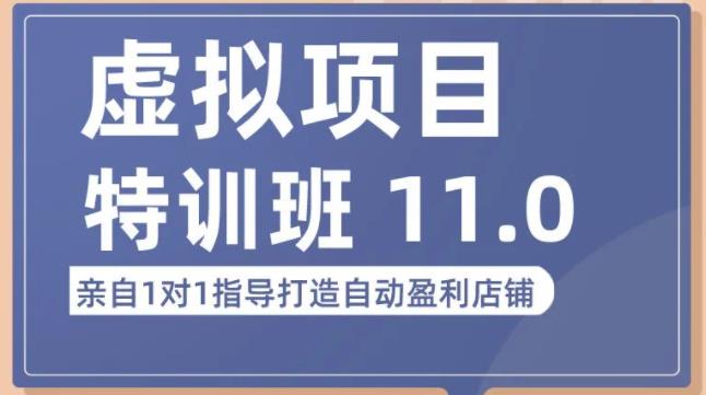 陆明明·虚拟项目特训班（10.0+11.0），0成本获取虚拟素材，0基础打造自动盈利店铺-赚金金-技能学习分享