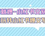一写就爆-小红书文案课:带你玩转小红收爆文写作(45节课)-赚金金-技能学习分享
