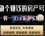 刘广标·同城房产号线上陪跑课,拍摄、剪辑、写文案、直播,做一个具有潜力价值的房产号-赚金金-技能学习分享