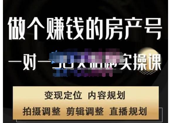 刘广标·同城房产号线上陪跑课，拍摄、剪辑、写文案、直播，做一个具有潜力价值的房产号-赚金金-技能学习分享